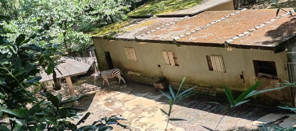 杭州動物園3089162