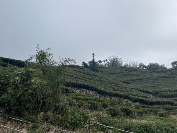 2023_0429_挑筍古道2138312