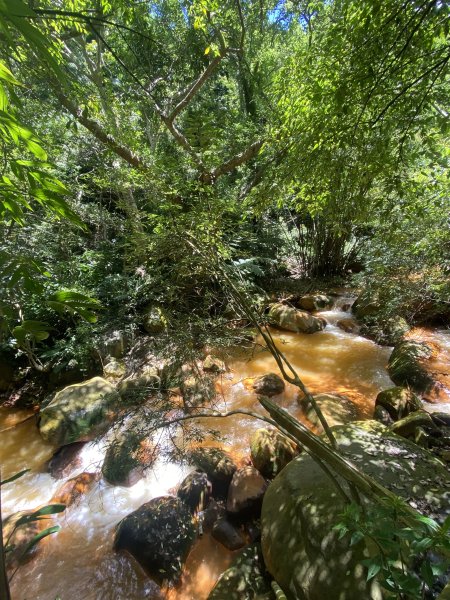 《陽明山秘境健行｜翠峰瀑布 × 天母古道 夏日涼爽路線》2852212