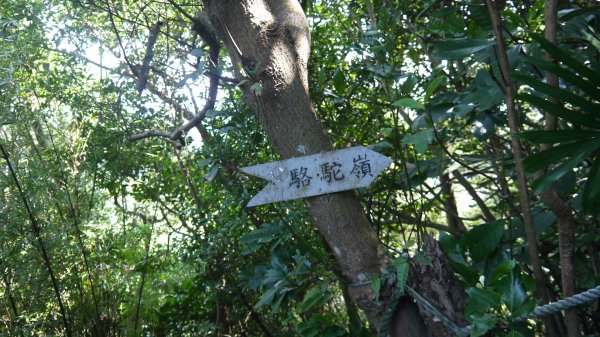 觀音山登山健行趣(小百岳05號)1632406