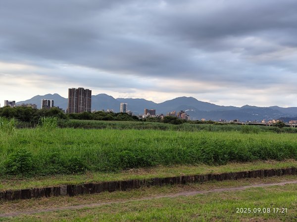 【臺北大縱走 8】萬壽橋頭(木柵)公車站→捷運關渡站［河濱自行車道］2881997