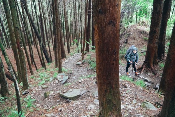 南湖大山之向風雨前行638606