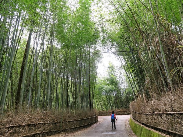 五元二角-東碧山莊O型環走837693