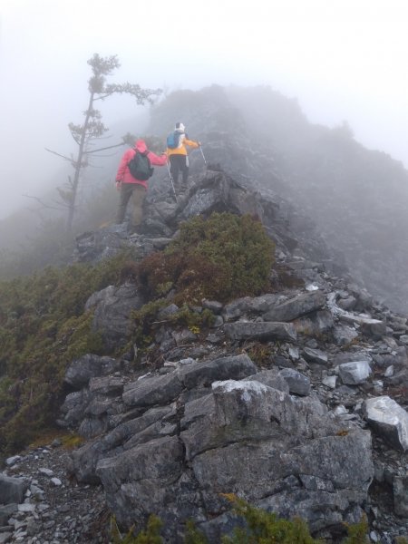 [花蓮中級山] 砂卡噹三雄 清水大山894472