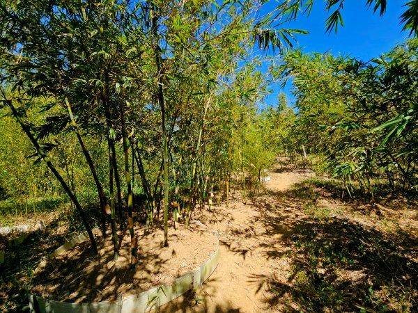 2025臺北大縱走第六段：中華科技大學至捷運麟光站2916595