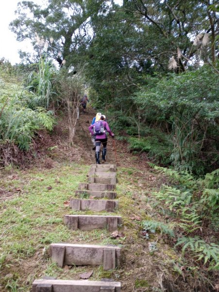 雷公埤山-鱷魚島觀景-小格頭獅頭山2001535