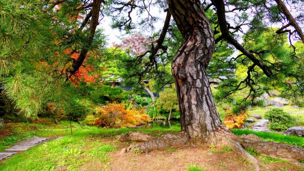 青森縣津輕藩睡魔村2929961