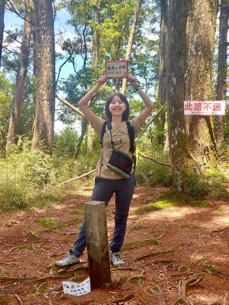 鹿屈山-杉林溪賞花趣2816493