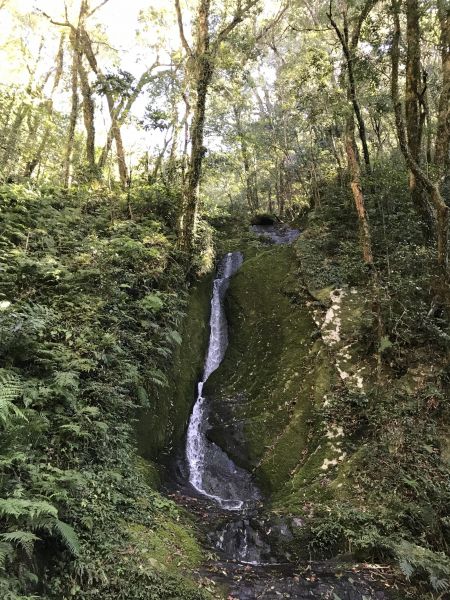 1061223內鳥嘴山、北得拉曼步道229586