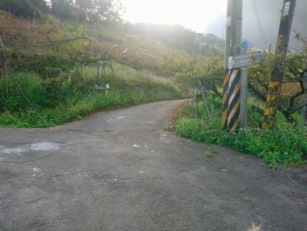 馬那邦山(小百岳編號037)720080