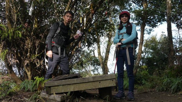 出關古道登山健行趣(步道)1579376