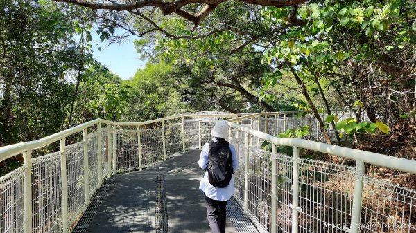 《彰化》慈眉大佛｜八卦山天空步道文學步道202401142401896