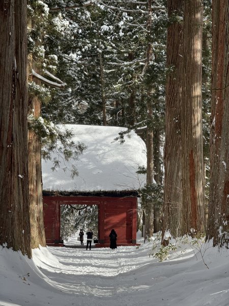 戸隠神社2439854