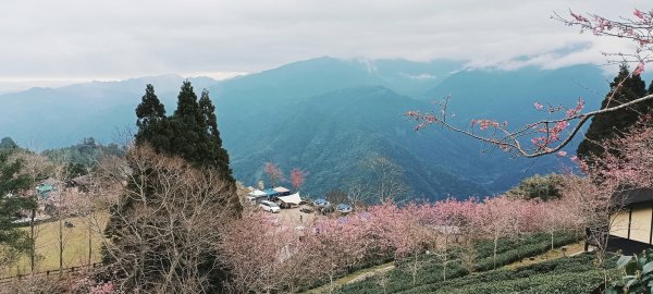 鵝公髻山X山上人家2729198