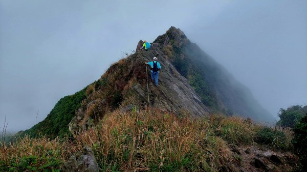 鋸齒稜直下半平大峭壁，讓人腎上腺素飆升的路線1915813