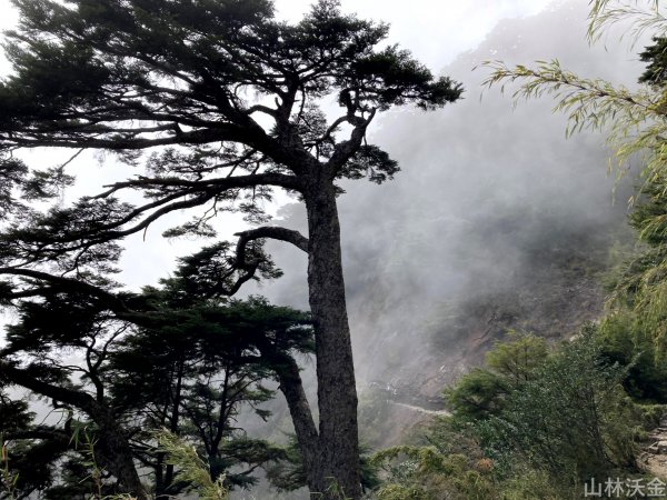 2023-11-27 玉山主峰2365058