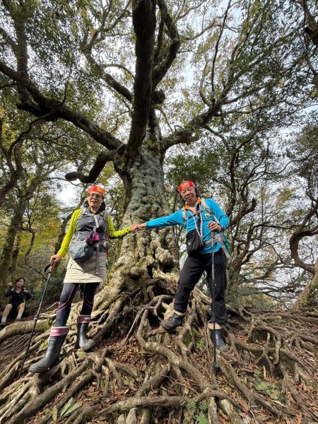 北得拉曼-內鳥嘴山2664597