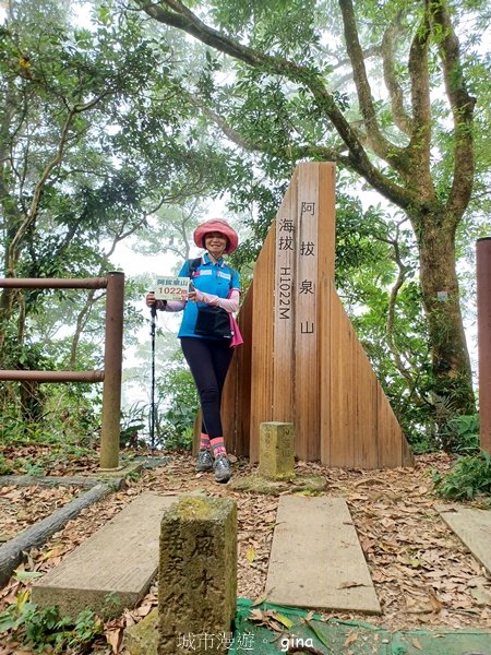 【嘉義竹崎】說好的稜線風景呢。阿拔泉山稜線步道連走獨立山O繞2684142