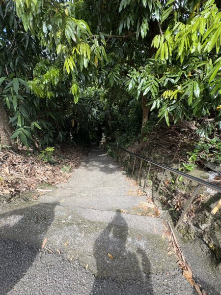 20250907高雄大崗山步道2914741