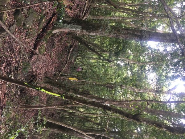 分遣所、斜壁2774341