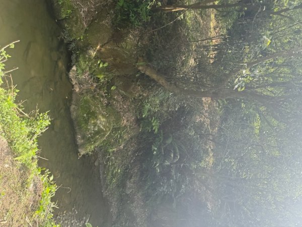 偷吃步之台北天際線第十段2777810