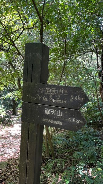 淡水興福寮古道2923331