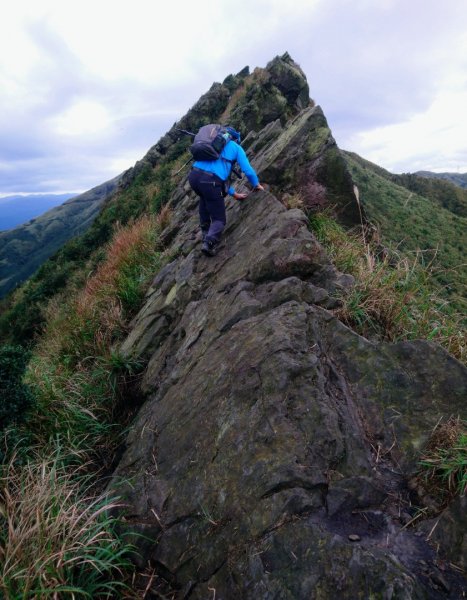 555峰、鋸齒稜、半屏山、金瓜石地質公園、山尖古道大圳橋、黃金博物館O走1229375