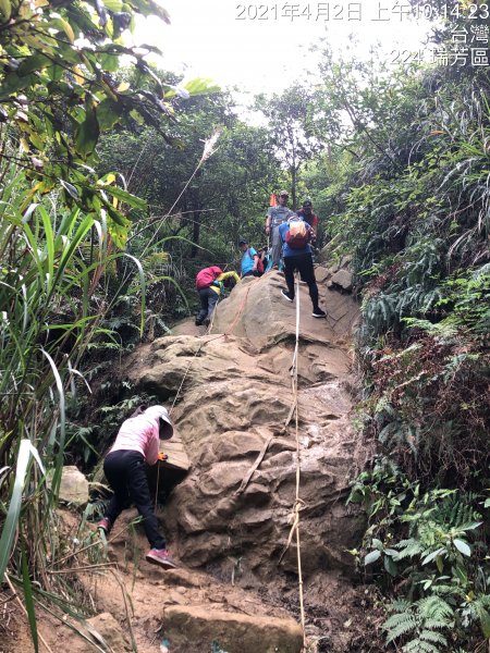 【北台灣郊山之王「瑞芳劍龍稜」 攀爬峭壁岩稜翻山越嶺驚險行】1337542