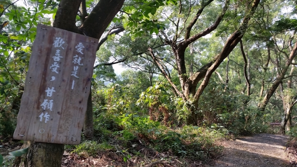 彰化縣田中鎮-田中森林登山步道90074