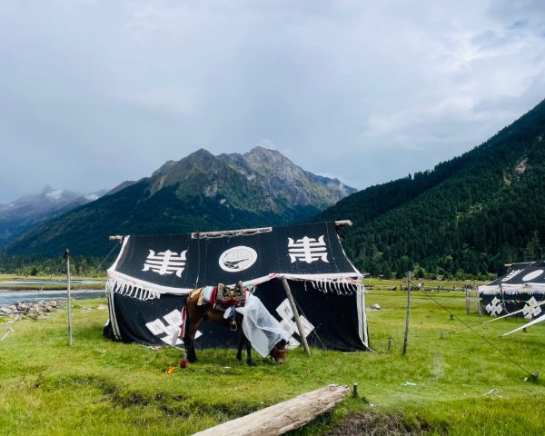 川藏33天深度之旅💙#稻城亞丁-來古冰川2902371