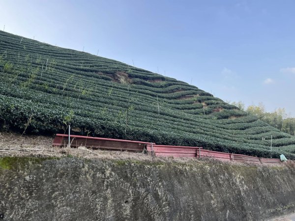 鹿谷長源圳生態步道2726254