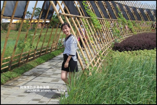 2019桃園農業博覽會693331