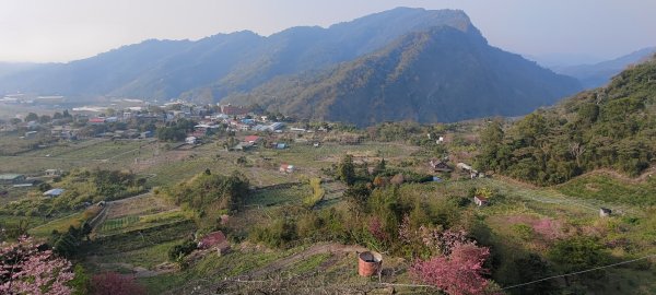 20210220雙崎部落埋伏坪登山古道1279443