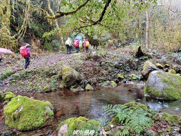 【宜蘭大同】走入南山部落魔法森林秘境。 羅葉尾溪步道2022024