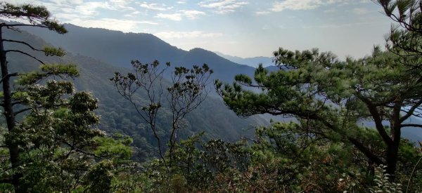 中級山-鳶嘴稍來2888987