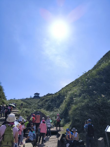 20251108草嶺古道2936130