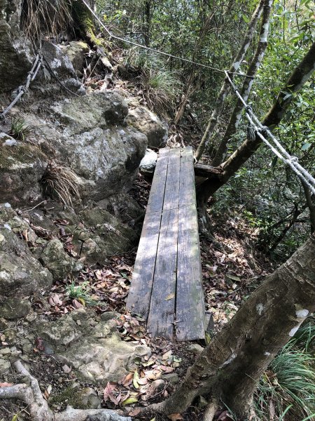 梅峰古道.獵鷹尖 一線天597026