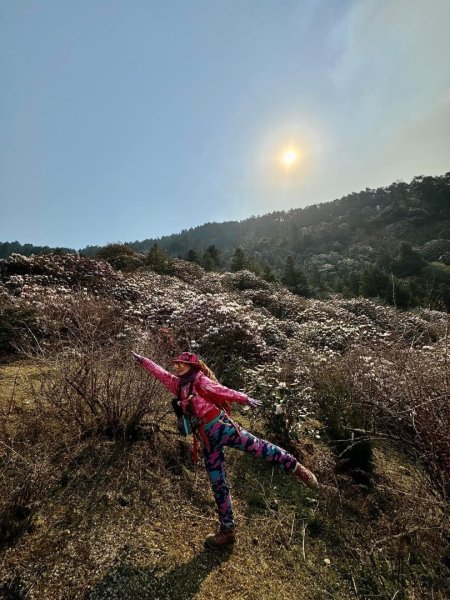 尼泊爾安納普娜ABC基地營健行2500992