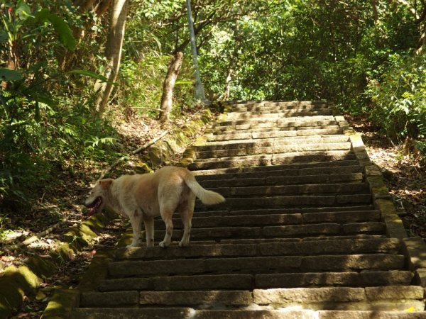 九五峰‧南港山551667