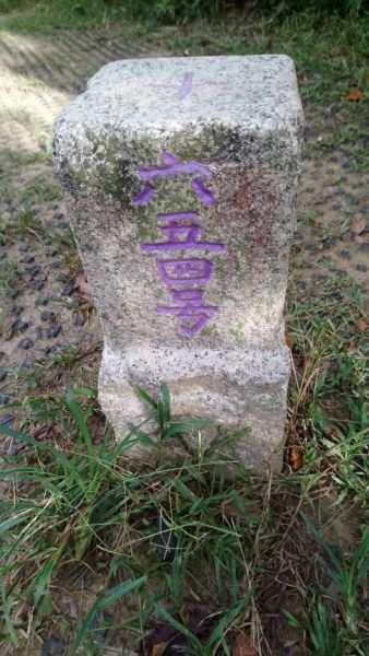 南勢角山（烘爐地土地公廟）392959