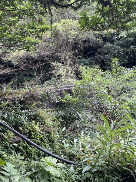 蛇子形古道2511210