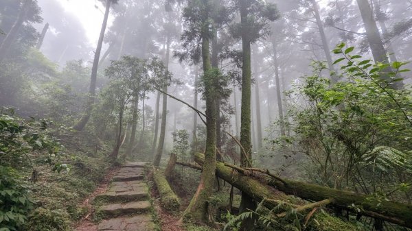 112.06.03風櫃嘴-頂山-石梯嶺-擎天崗東峰-頂山西南峰2172384