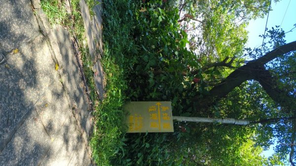 很像臺北大縱走第六段3120043