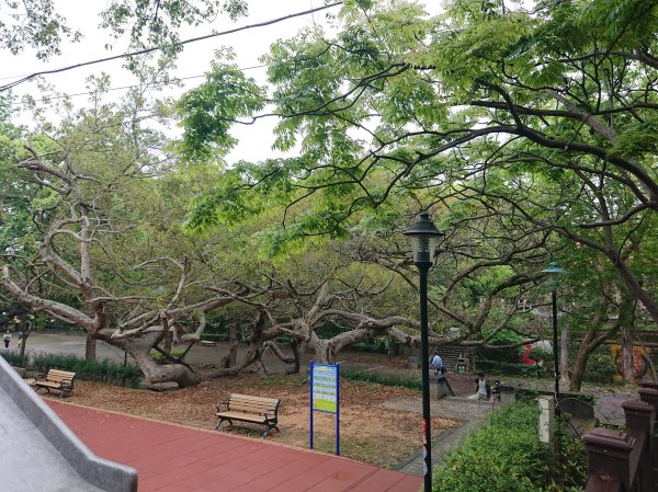 功維敘隧道-貓狸山公園2754525