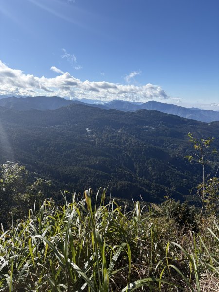 20251225塔山步道(大塔山)2970396