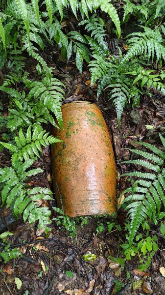 楊廷理古道2814598