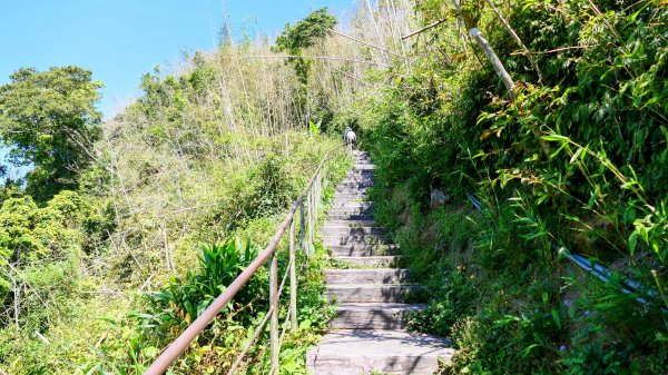 二延平步道。貿易戰2764947