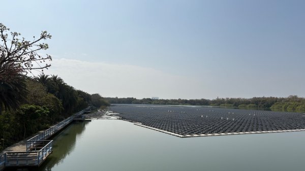 🚴‍♂️ 台南單車慢漫遊3003323