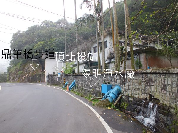 古道水圳賞櫻花2733445