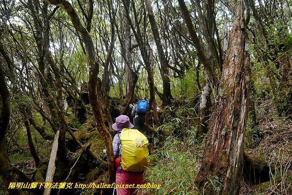 【桃園】唐穗山